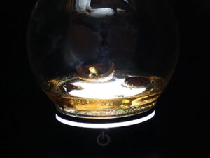 Acorn Found