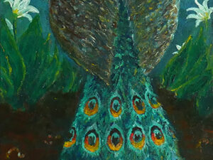 Mercurial Peacock